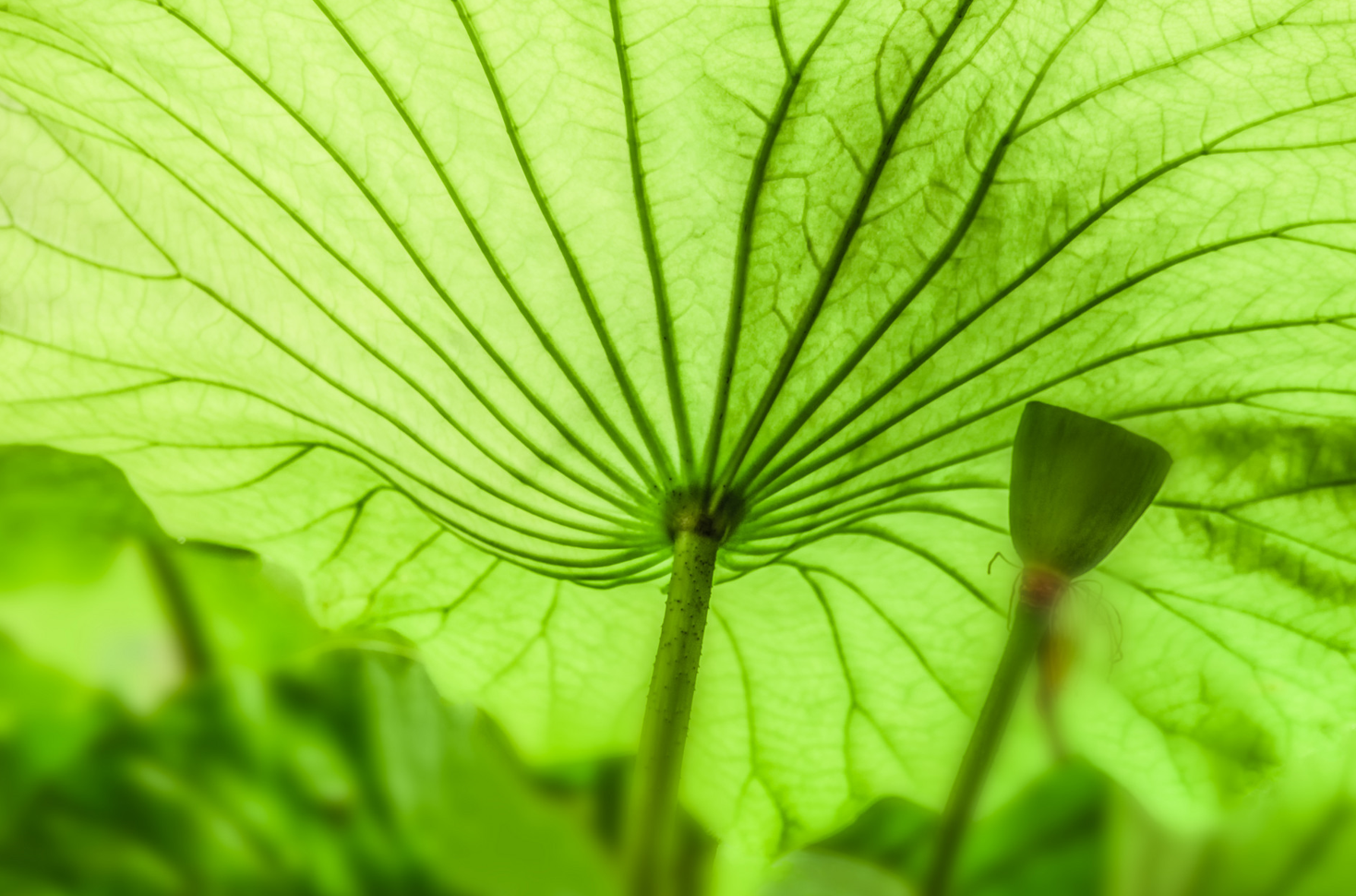 1658711751402056.png image.png