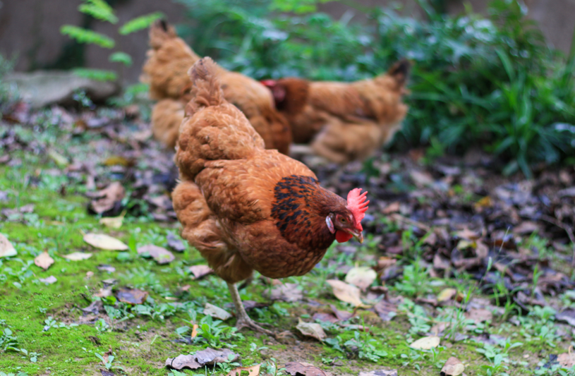 1658711797387779.png image.png