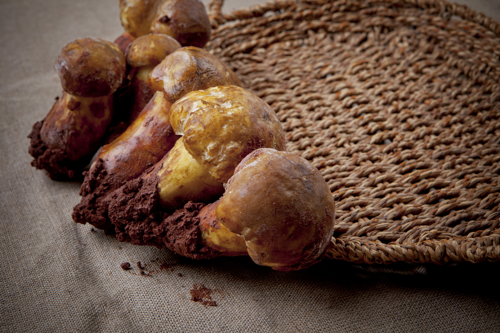 1667785664233496.jpg 攝圖網_500481851_banner_野生菌松茸(企業商用).jpg