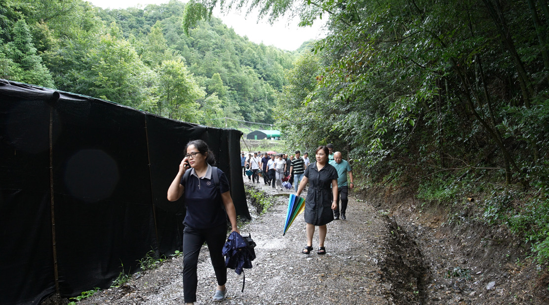 1690795207107381.png image.png