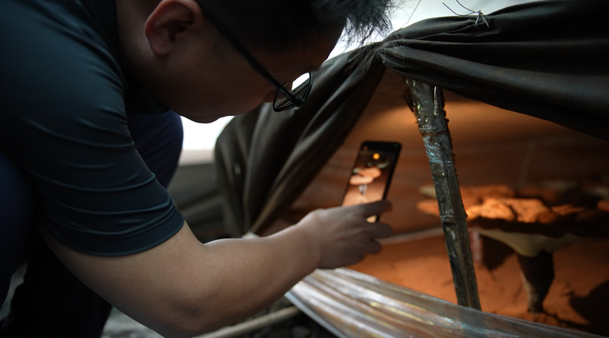 1690795406194202.png image.png