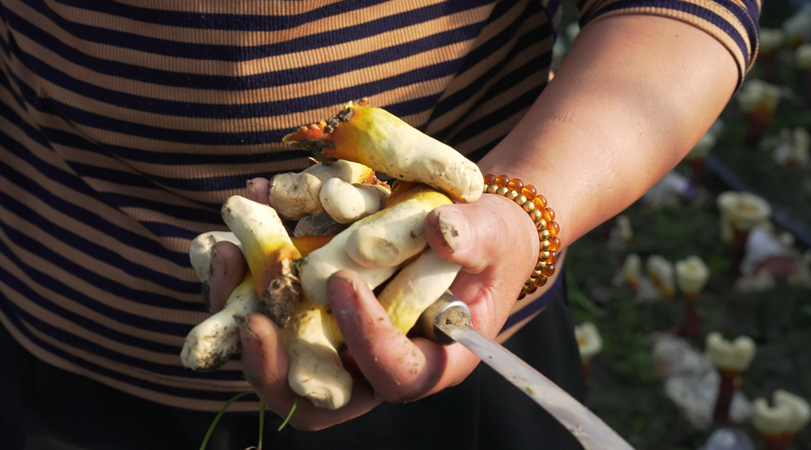 1718589231519553.png image.png